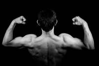Намерете най-добрите оферти за кростренажори 31 от JK Fitness Намерете най-добрите оферти за кростренажори 31