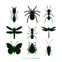 Вижте нашата предложения за борба  против мравки 32