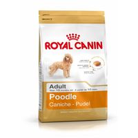 Намерете Royal Canin 22