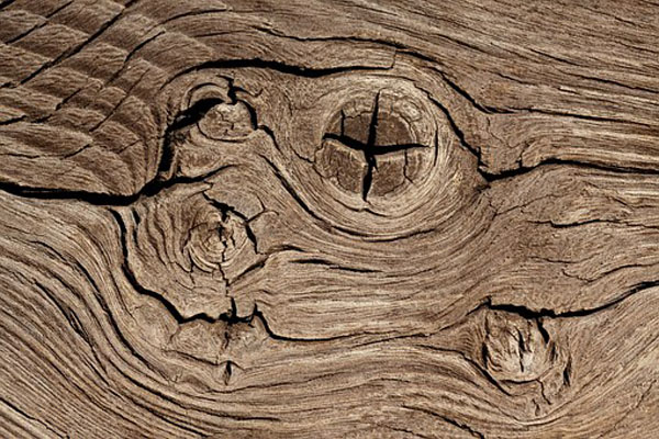 Намерете дървен материал плевен 18