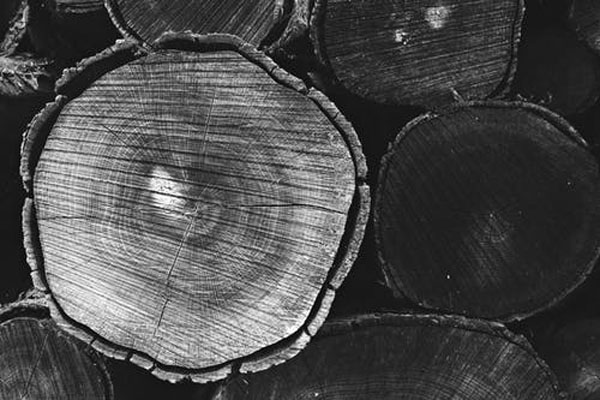 Типове дървен материал плевен 8