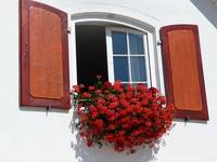Vielzahl von Folien Montage Werkzeug 14 - rund-ums-fenster.at Vielzahl von Folien Montage Werkzeug 14