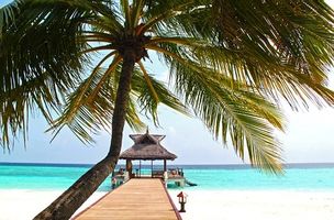 оферти за море - 86621 отстъпки оферти за море - 39889 отстъпки