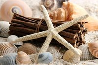 почивка на море - 54372 - предлагани услуги почивка на море - 42284 - предлагани услуги