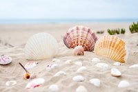 почивка на море - 49225 - услуги почивка на море - 57756 - услуги