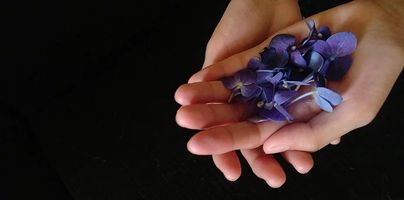 рехабилитационен център - 28609 разновидности рехабилитационен център - 48668 разновидности