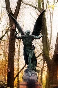 траурна агенция - 94696 варианти | Кипарис траурна агенция - 9487 варианти