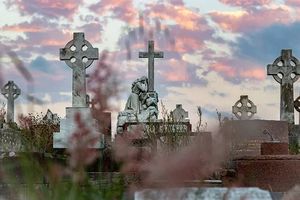 траурна агенция - 72283 постижения траурна агенция - 83188 постижения
