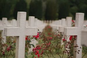траурна агенция софия - 58705 селекции траурна агенция софия - 46205 селекции