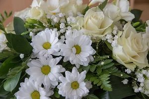 траурна агенция софия - 31037 вузможности траурна агенция софия - 93864 вузможности