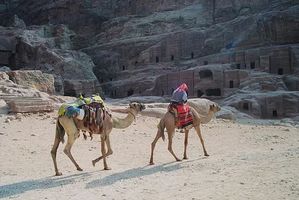 екскурзия до йордания - 42268 разновидности