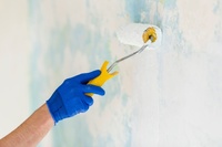 боядисване на стени - 41959 - видове