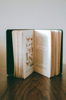 стари книги - 87443 - повече за нашите видове стари книги - 5261 - повече за нашите видове