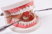 зъбен мост - 6105 - изключително качествени