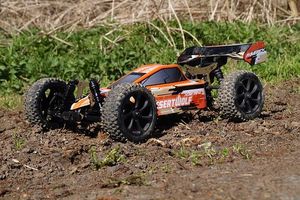 Buggies 4x4 - 8464 prices Buggies 4x4 - 84178 prices