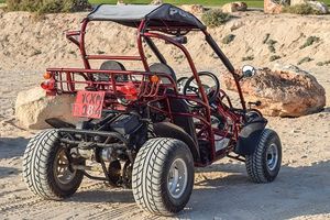 Buggies 4x4 - 76176 promotions Buggies 4x4 - 23435 promotions
