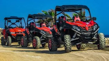 Buggies 4x4 - 54112 types Buggies 4x4 - 92830 types