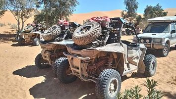 Buggies 4x4 - 73095 achievements Buggies 4x4 - 43193 achievements