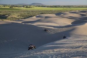 Dune Buggy - 14057 prices Dune Buggy - 91735 prices