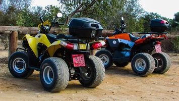 Dune Buggy - 96480 prices Dune Buggy - 1314 prices