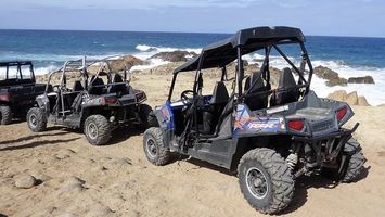 Dune Buggy - 94108 selection Dune Buggy - 2229 selection