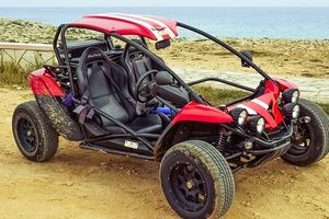 Dune Buggy - 85195 species Dune Buggy - 5317 species