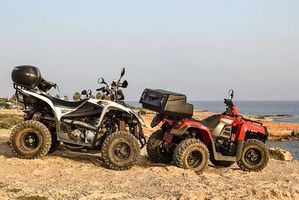 Dune Buggy - 27874 varieties Dune Buggy - 34098 varieties