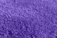Carpet Stain Removal London - 91583 customers Carpet Stain Removal London - 46437 customers