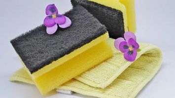 End Of Tenancy Cleaning London Prices - 63768 suggestions