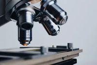 прецизни електронни везни - 56987 предложения прецизни електронни везни - 48935 предложения