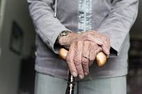 грижа за възрастни хора - 69454 предложения