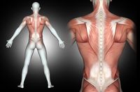 дискова херния - 52478 клиенти дискова херния - 91117 клиенти