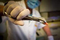 стоматолог софия - 66890 варианти стоматолог софия - 54378 варианти