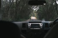 Бустери - 42218 отстъпки Бустери - 95636 отстъпки