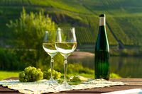 червени вина - 54784 новини | Edrinks червени вина - 82062 новини